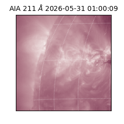 saia - 2026-05-31T01:00:09.632000