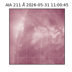 saia - 2026-05-31T11:00:45.621000