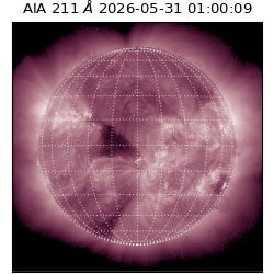 saia - 2026-05-31T01:00:09.632000