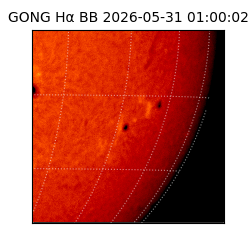 gong - 2026-05-31T01:00:02