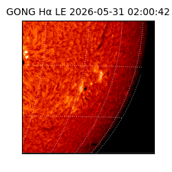 gong - 2026-05-31T02:00:42