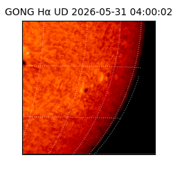 gong - 2026-05-31T04:00:02