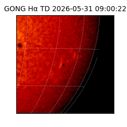 gong - 2026-05-31T09:00:22
