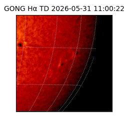 gong - 2026-05-31T11:00:22