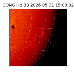 gong - 2026-05-31T15:00:02
