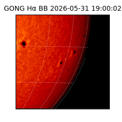 gong - 2026-05-31T19:00:02