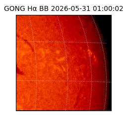 gong - 2026-05-31T01:00:02