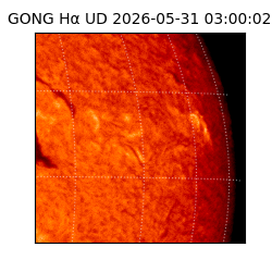 gong - 2026-05-31T03:00:02