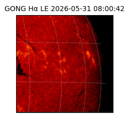 gong - 2026-05-31T08:00:42