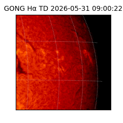 gong - 2026-05-31T09:00:22