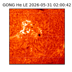 gong - 2026-05-31T02:00:42