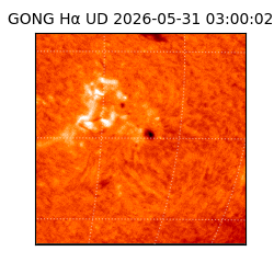 gong - 2026-05-31T03:00:02