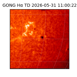gong - 2026-05-31T11:00:22