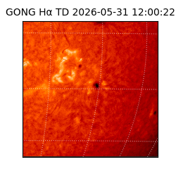 gong - 2026-05-31T12:00:22