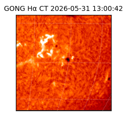 gong - 2026-05-31T13:00:42