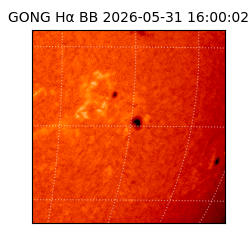 gong - 2026-05-31T16:00:02