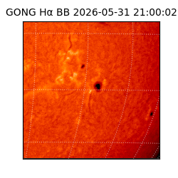 gong - 2026-05-31T21:00:02
