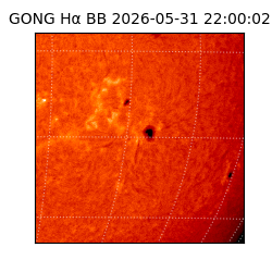 gong - 2026-05-31T22:00:02