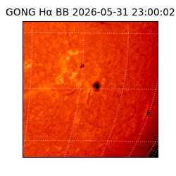 gong - 2026-05-31T23:00:02