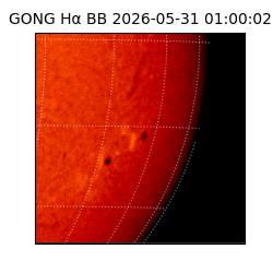gong - 2026-05-31T01:00:02