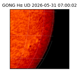 gong - 2026-05-31T07:00:02