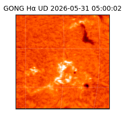 gong - 2026-05-31T05:00:02