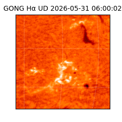 gong - 2026-05-31T06:00:02