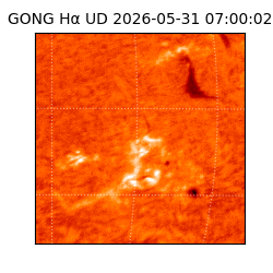 gong - 2026-05-31T07:00:02