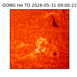 gong - 2026-05-31T09:00:22