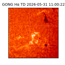 gong - 2026-05-31T11:00:22
