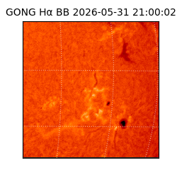 gong - 2026-05-31T21:00:02
