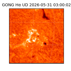 gong - 2026-05-31T03:00:02