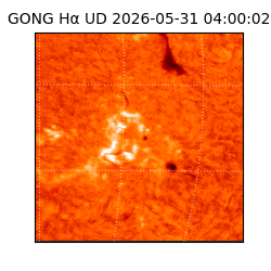 gong - 2026-05-31T04:00:02