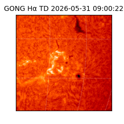 gong - 2026-05-31T09:00:22