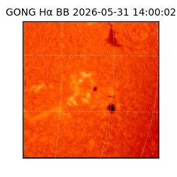 gong - 2026-05-31T14:00:02