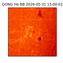 gong - 2026-05-31T15:00:02