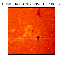 gong - 2026-05-31T17:00:02