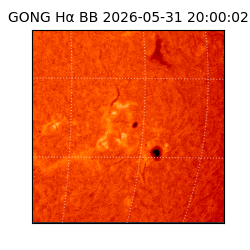 gong - 2026-05-31T20:00:02