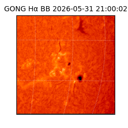 gong - 2026-05-31T21:00:02