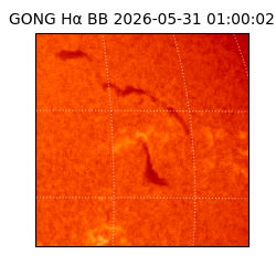 gong - 2026-05-31T01:00:02