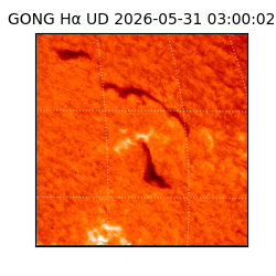 gong - 2026-05-31T03:00:02