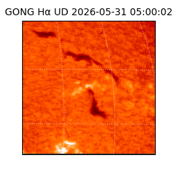 gong - 2026-05-31T05:00:02