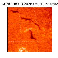 gong - 2026-05-31T06:00:02