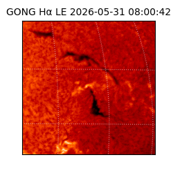 gong - 2026-05-31T08:00:42