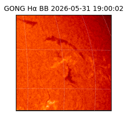 gong - 2026-05-31T19:00:02