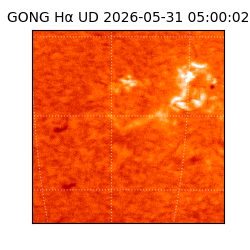 gong - 2026-05-31T05:00:02