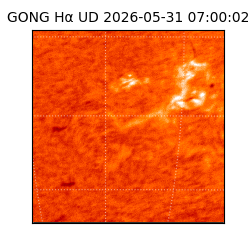 gong - 2026-05-31T07:00:02