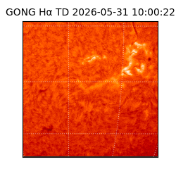 gong - 2026-05-31T10:00:22