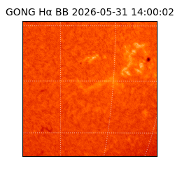 gong - 2026-05-31T14:00:02