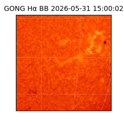 gong - 2026-05-31T15:00:02